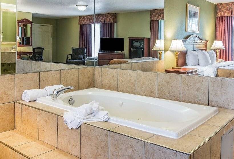 ホテル Quality Inn & Suites Ann Arbor Hwy 23