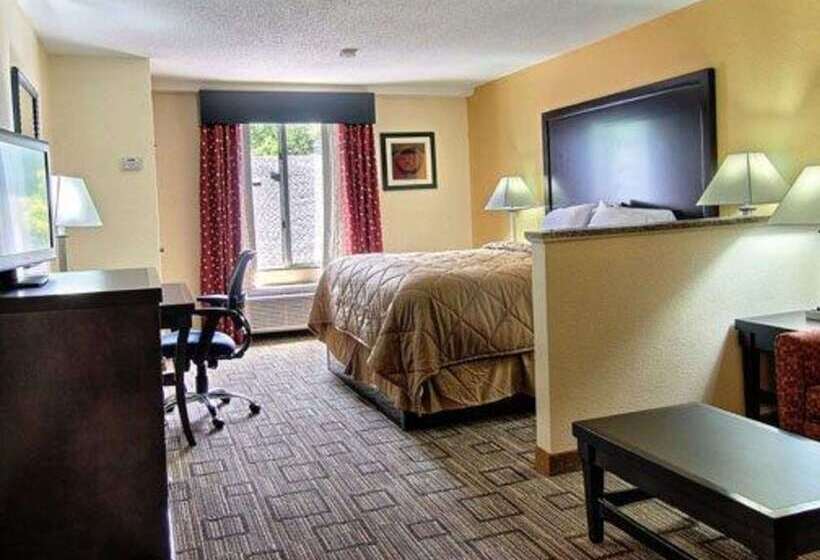Hotel Quality Inn & Suites Greenville Near Downtown