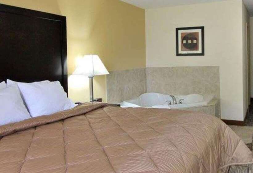 Hotel Quality Inn & Suites Greenville Near Downtown