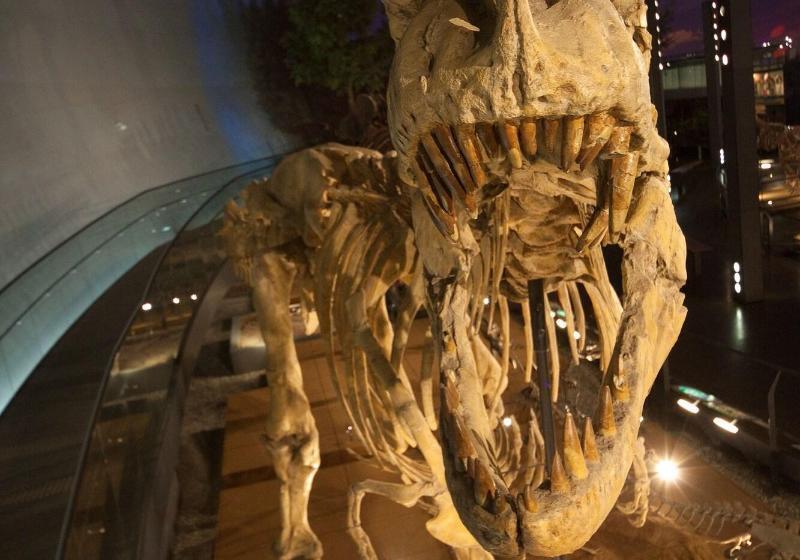 Hotel Riverge Akebono