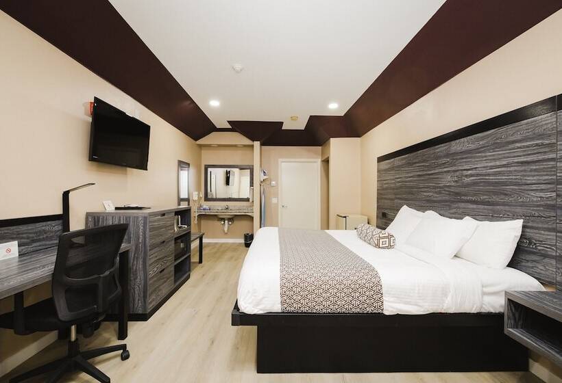 בית מלון כפרי Sapphire Inn & Suites