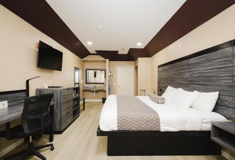 בית מלון כפרי Sapphire Inn & Suites