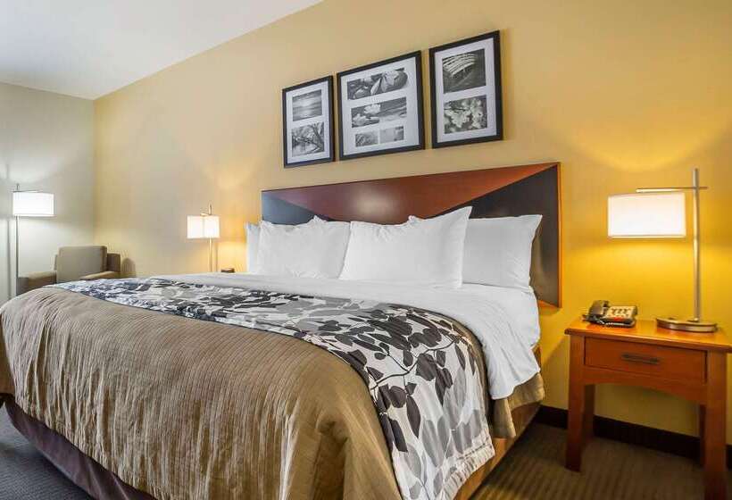בית מלון כפרי Sleep Inn & Suites