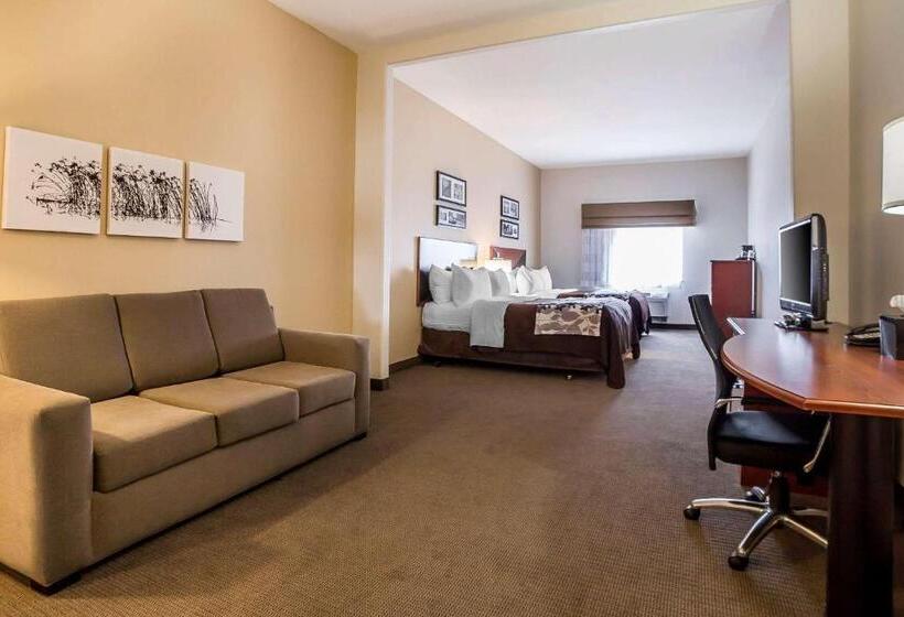 בית מלון כפרי Sleep Inn & Suites