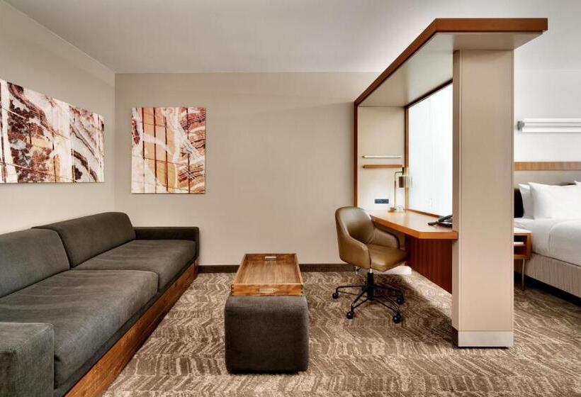 בית מלון כפרי Springhill Suites By Marriott Las Vegas Convention Center