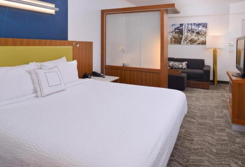 酒店 Springhill Suites Durham Chapel Hill