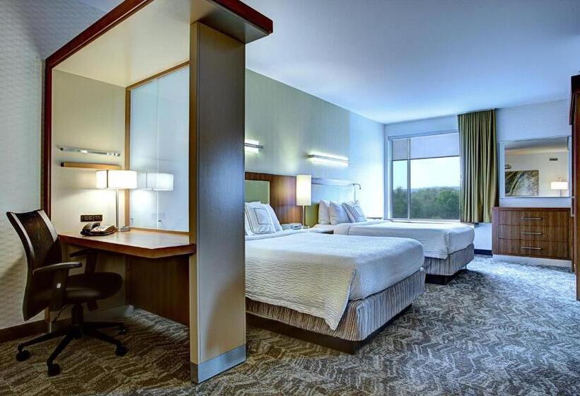 فندق Springhill Suites Harrisburg Hershey