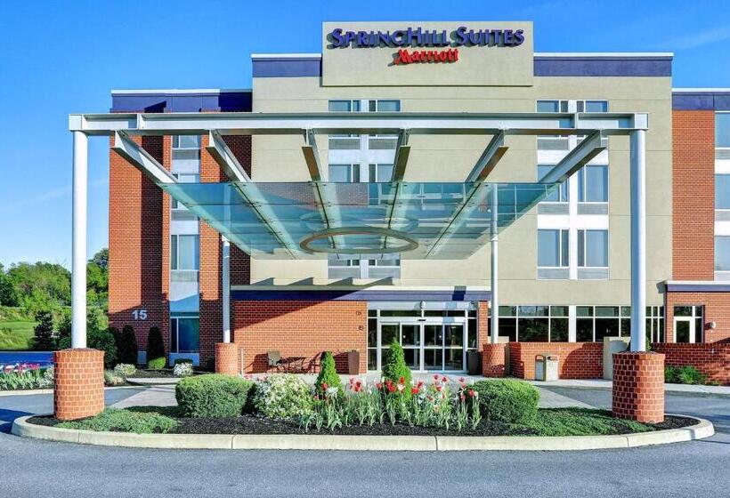 فندق Springhill Suites Harrisburg Hershey