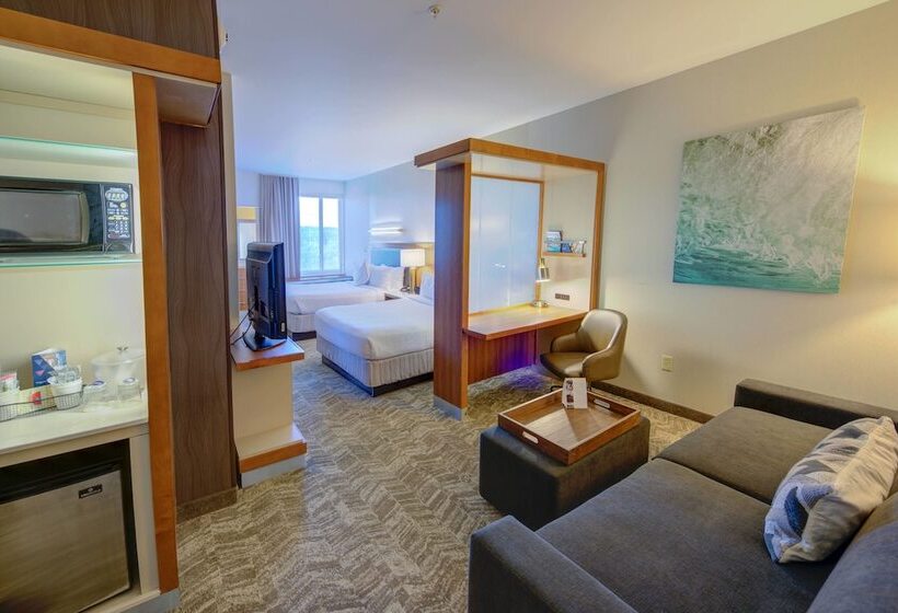 בית מלון כפרי Springhill Suites By Marriott Macon