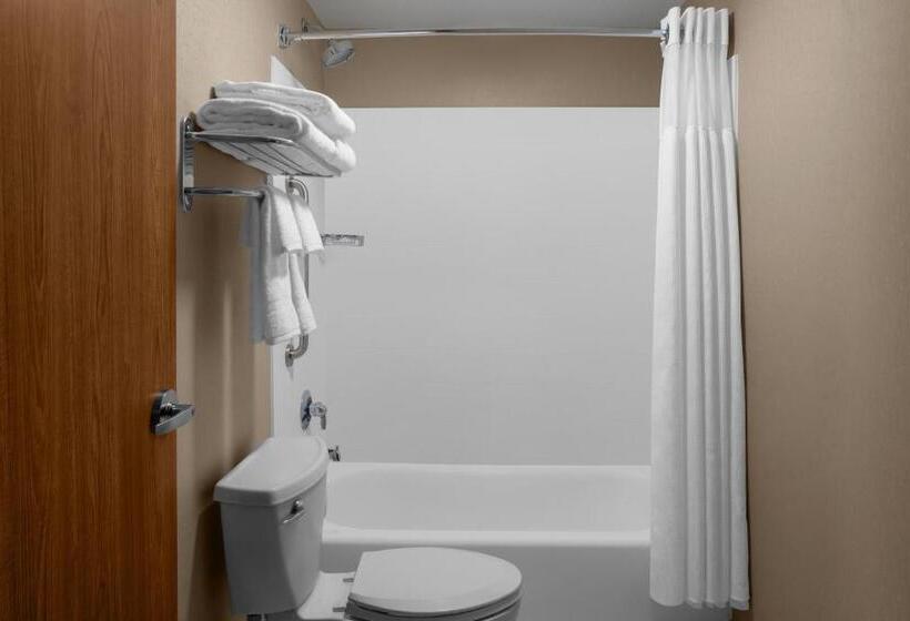 ホテル Springhill Suites Pittsburgh Southside Works