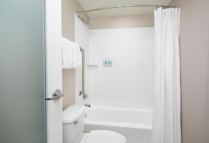 فندق Springhill Suites St. Louis Brentwood