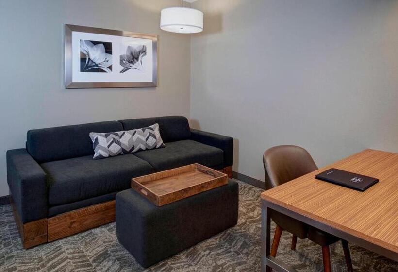 فندق Springhill Suites St. Louis Brentwood