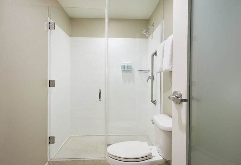 فندق Springhill Suites St. Louis Brentwood