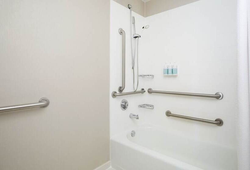 فندق Springhill Suites St. Louis Brentwood