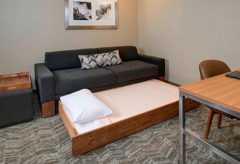فندق Springhill Suites St. Louis Brentwood