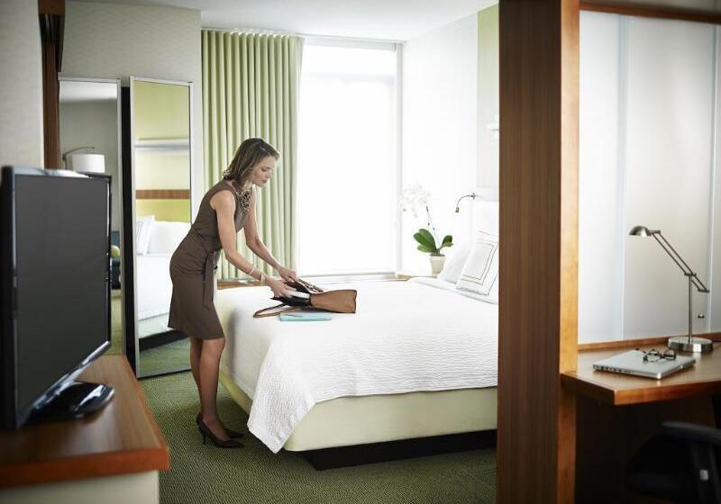 בית מלון כפרי Springhill Suites By Marriott Syracuse Carrier Circle