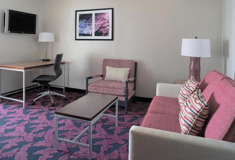 בית מלון כפרי Springhill Suites By Marriott Virginia Beach Oceanfront