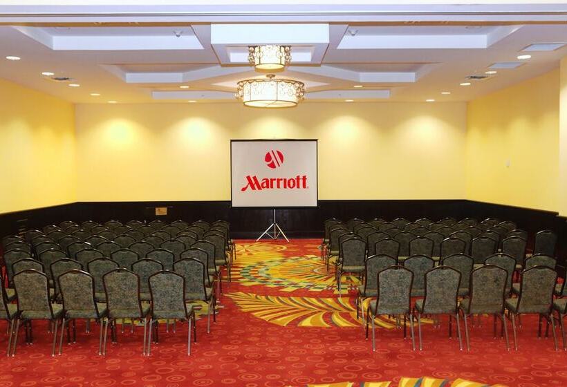 호텔 St. Petersburg Marriott Clearwater