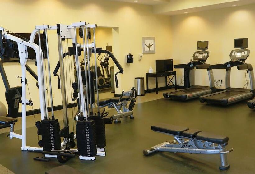 호텔 St. Petersburg Marriott Clearwater