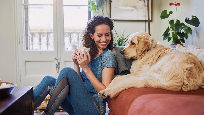 فندق Staybridge Suites San Antonio Sea World, An Ihg