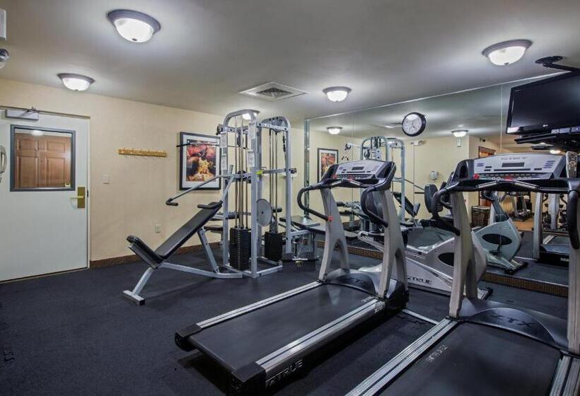 فندق Staybridge Suites Wilmington Newark By Ihg