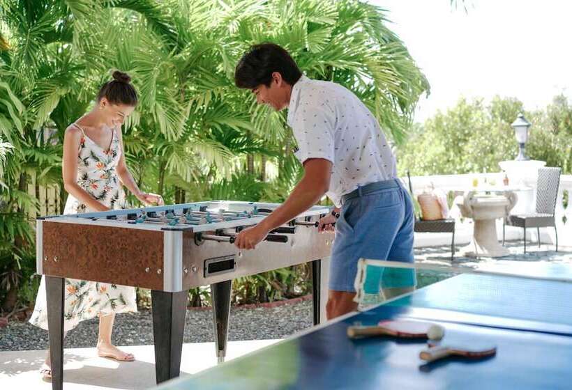 בית מלון כפרי The Peacock Garden