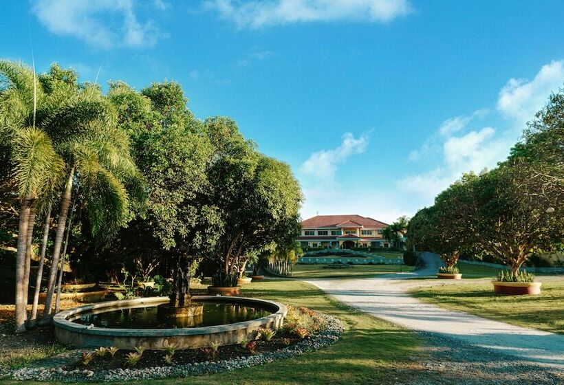 בית מלון כפרי The Peacock Garden