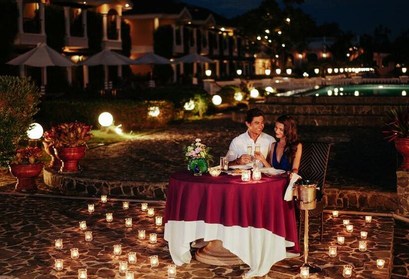 בית מלון כפרי The Peacock Garden