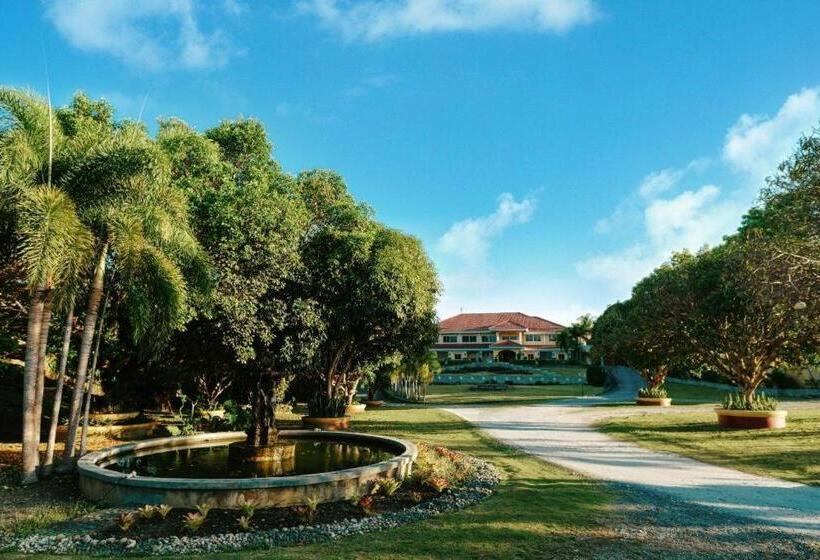 בית מלון כפרי The Peacock Garden