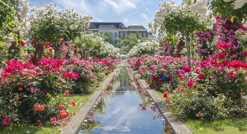 هتل Denhaag Huis Ten Bosch