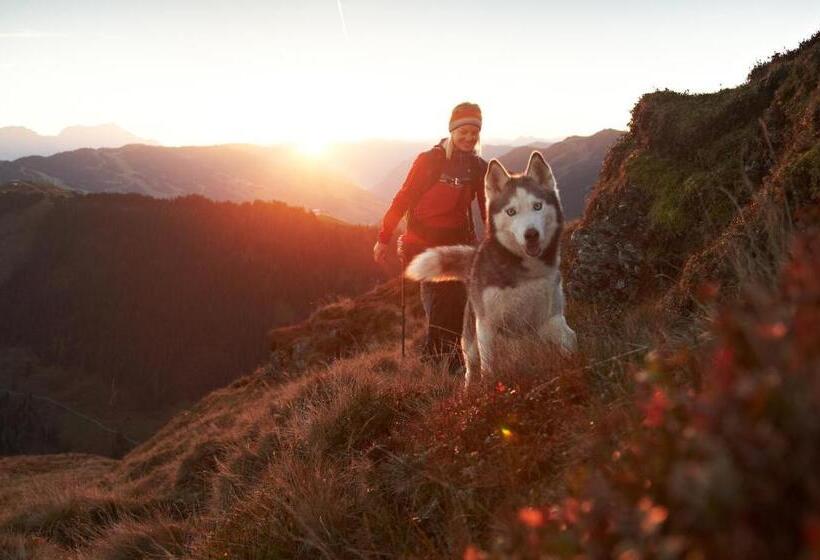 酒店 Wechselberger