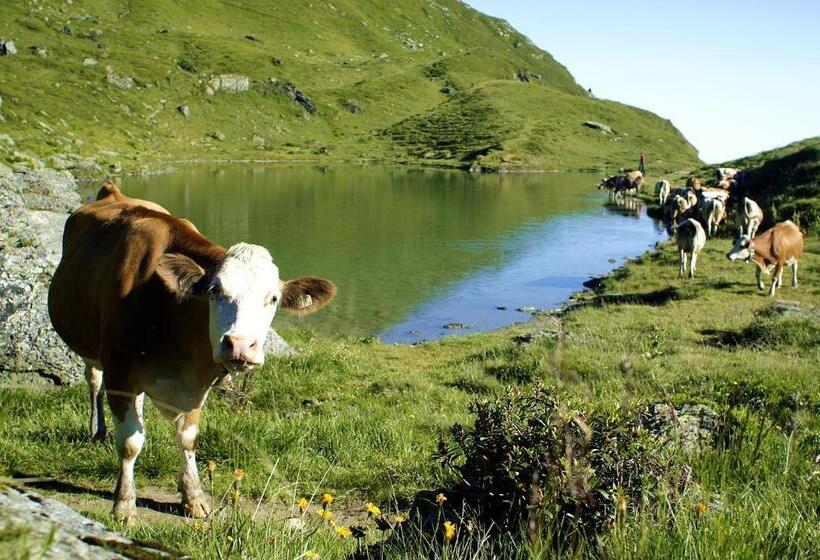 酒店 Wechselberger