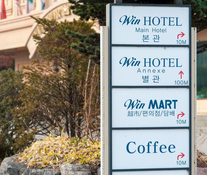 Отель Windsor Castle