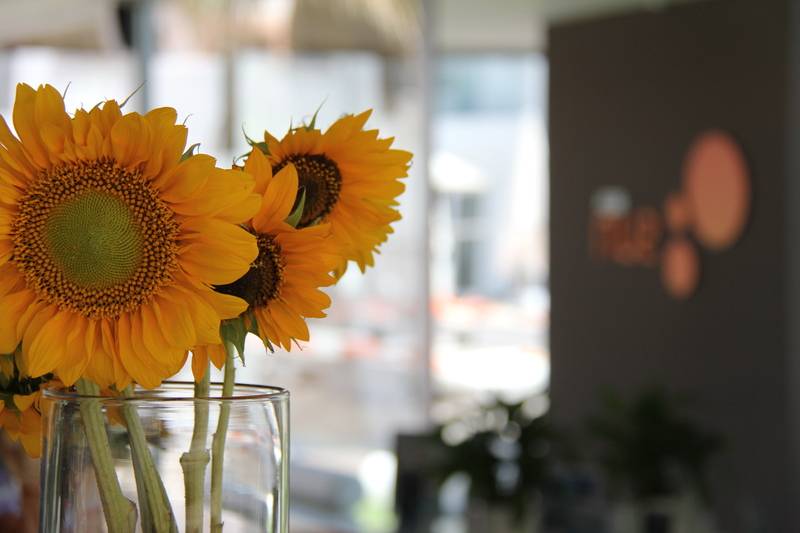 Ibiza Sun Apartments