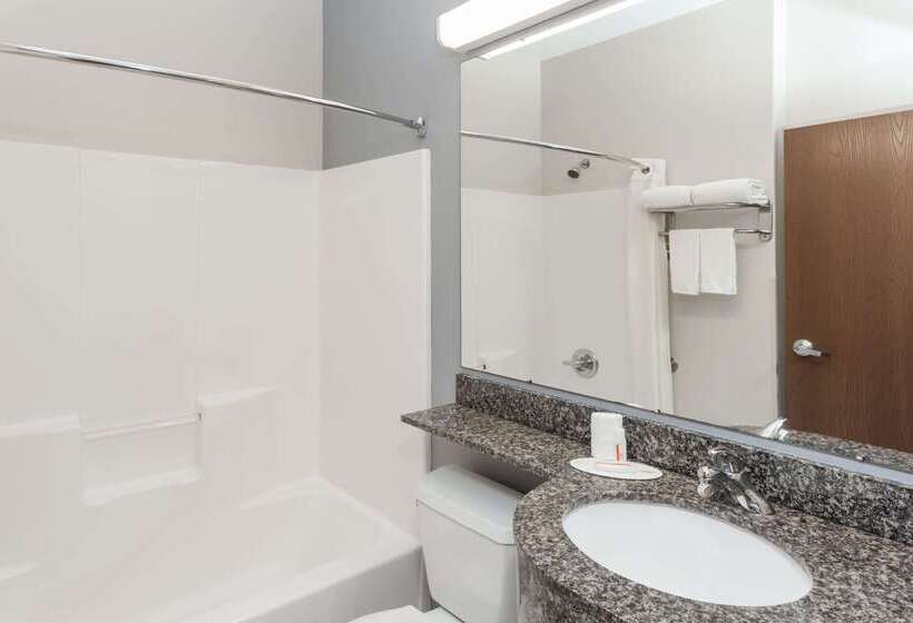 Microtel Inn And Suites Elkhart