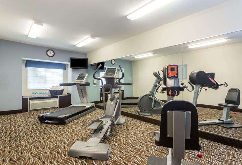 Microtel Inn & Suites By Wyndham Spring Hill/weeki Wachee