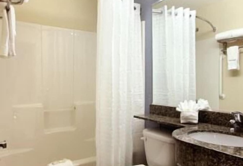 Microtel Inn & Suites By Wyndham Spring Hill/weeki Wachee