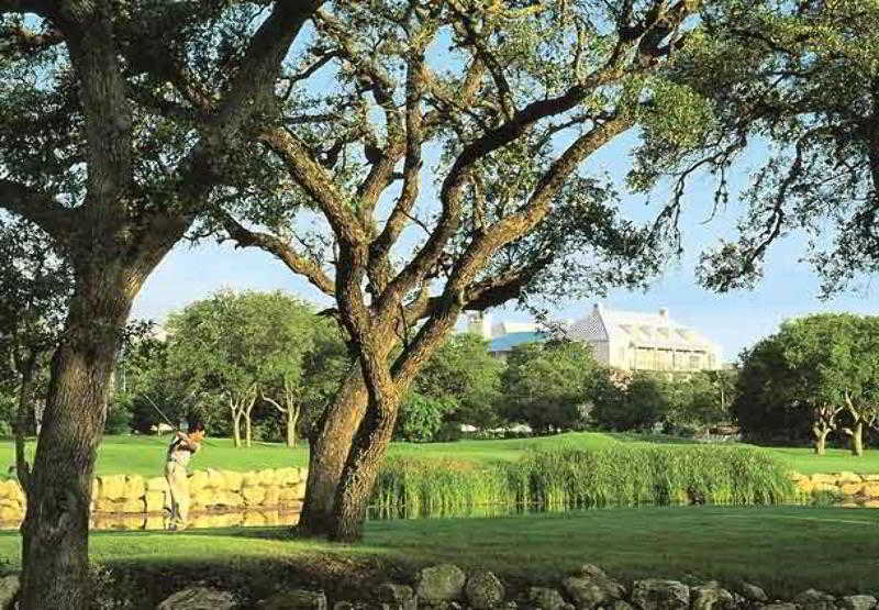 Residence Inn By Marriott San Antonio North Stone Oak