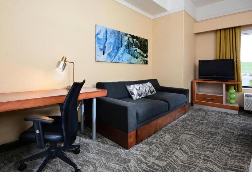 Springhill Suites By Marriott Lynchburg Airport/university Area