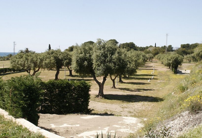 הוסטל Ap Costas   Camping Playa Y Fiesta