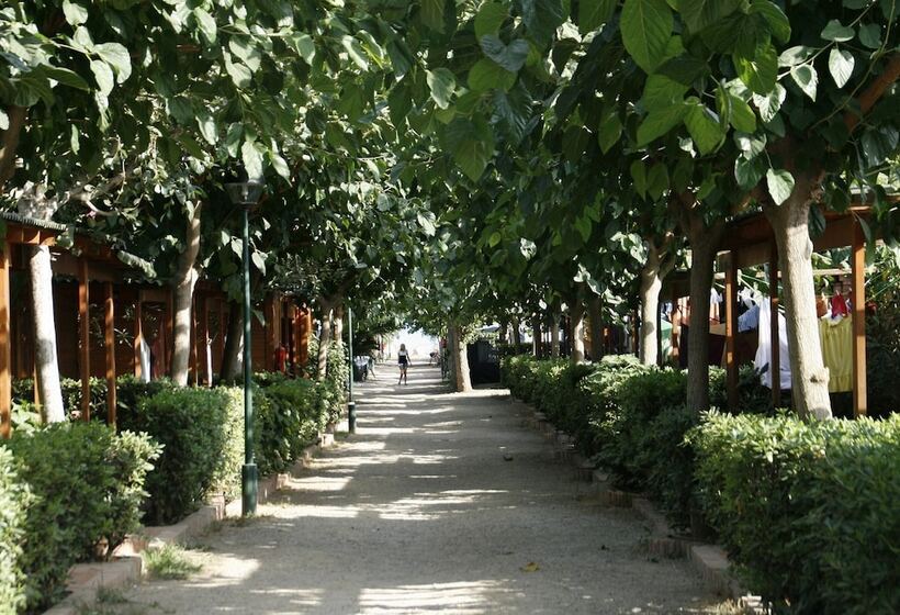 فندق صغير Ap Costas Camping Playa Y Fiesta