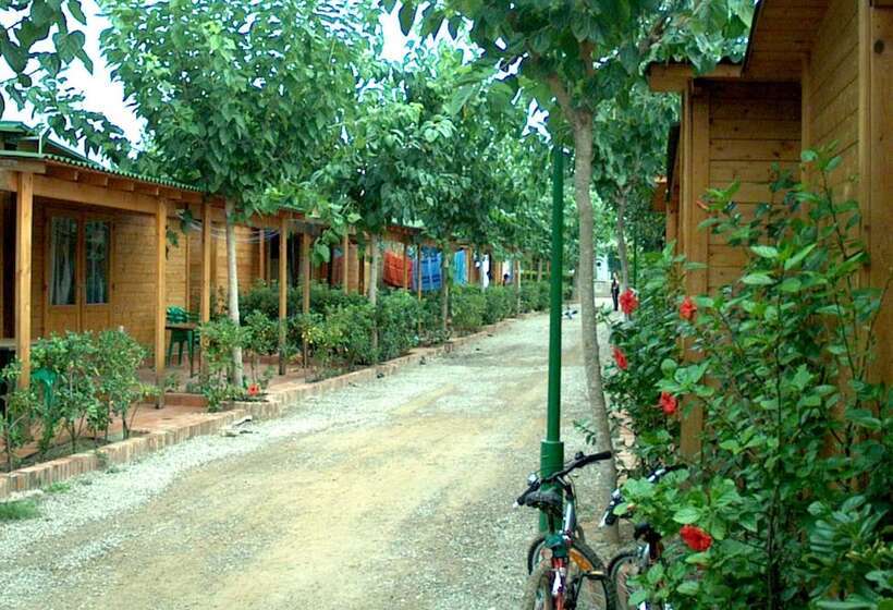 הוסטל Ap Costas   Camping Playa Y Fiesta