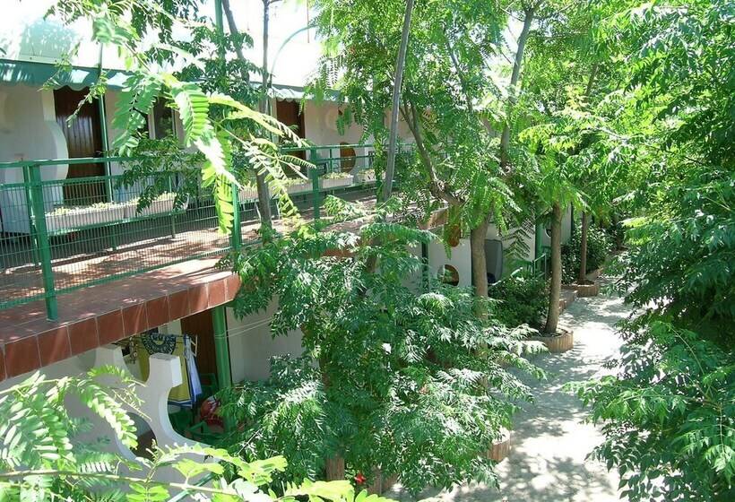 הוסטל Ap Costas   Camping Playa Y Fiesta