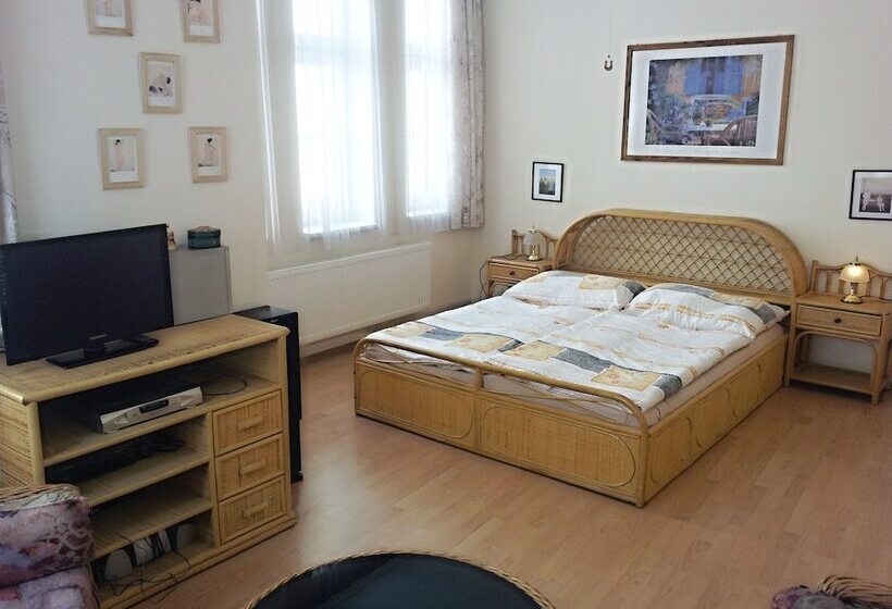 Holiday Apartments Karlovy Vary
