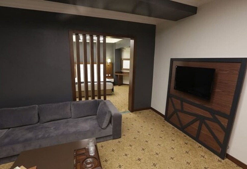 ホテル Adramis Termal