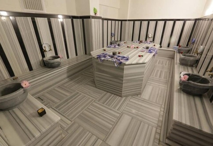 ホテル Adramis Termal