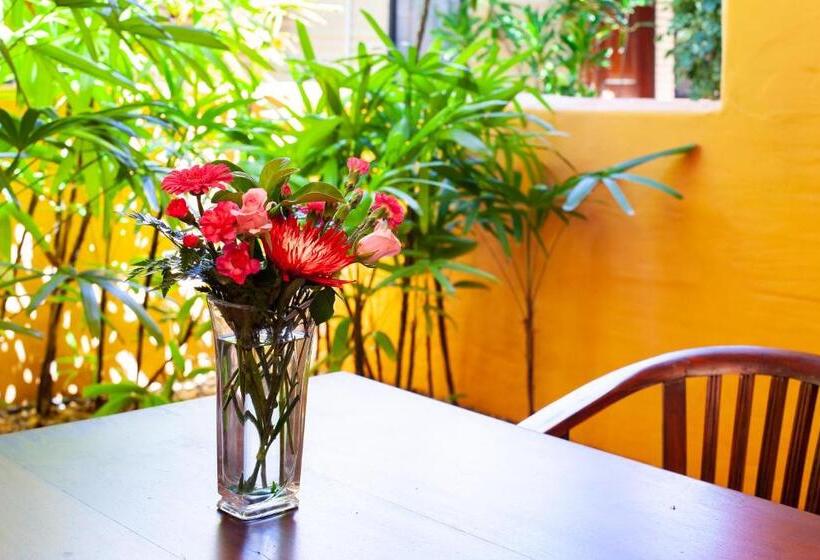 فندق Bali Hai Resort & Spa