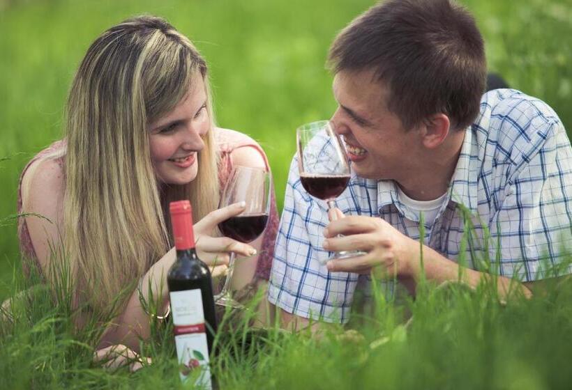 בית מלון כפרי Cabernet