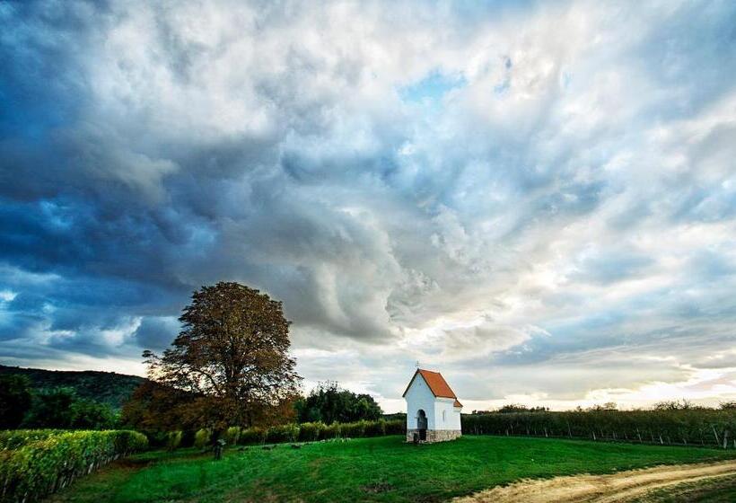 בית מלון כפרי Cabernet