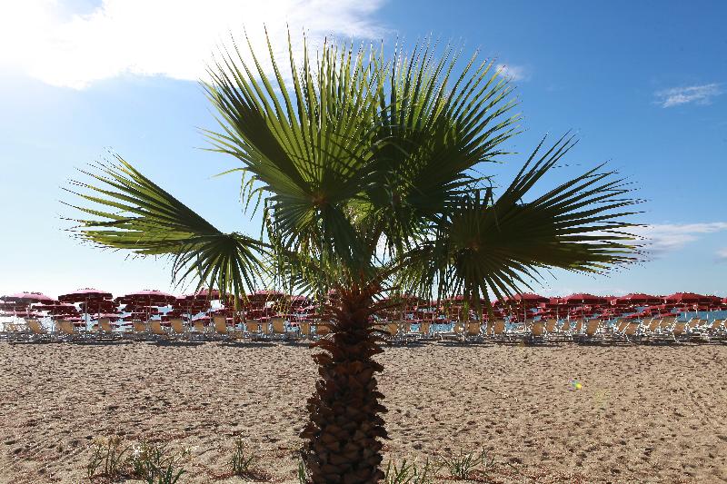فندق Club Esse Sunbeach